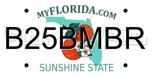 B25BMBR Florida License Plate