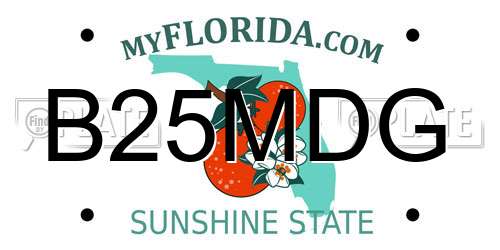 B25MDG Florida License Plate