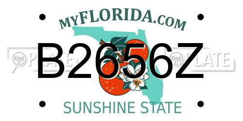 B2656Z Florida License Plate