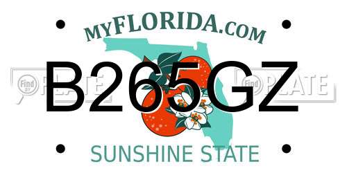 B265GZ Florida License Plate