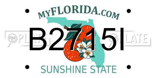 B2715I Florida License Plate
