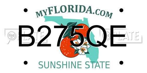 B275QE Florida License Plate