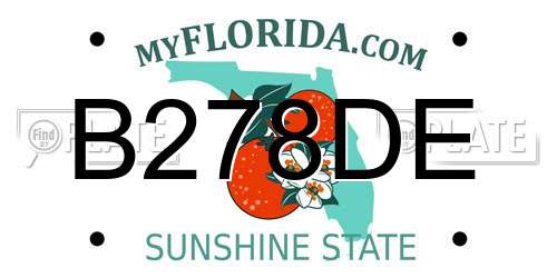 B278DE Florida License Plate