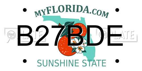 B27BDE Florida License Plate