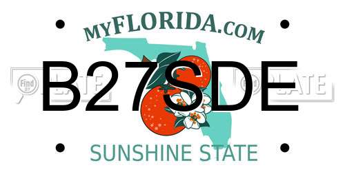 B27SDE Florida License Plate