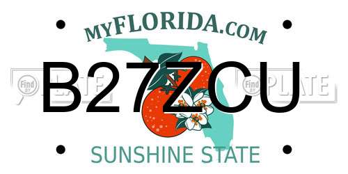 B27ZCU Florida License Plate