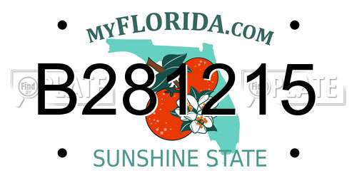 B281215 Florida License Plate