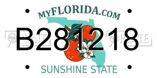 B281218 Florida License Plate