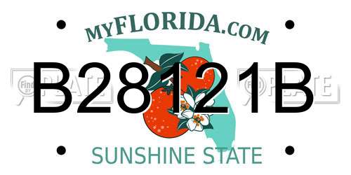 B28121B Florida License Plate