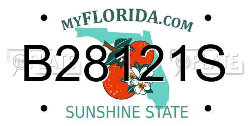 B28121S Florida License Plate
