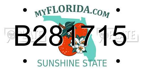 B281715 Florida License Plate