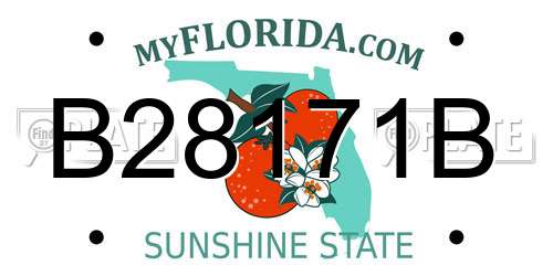 B28171B Florida License Plate