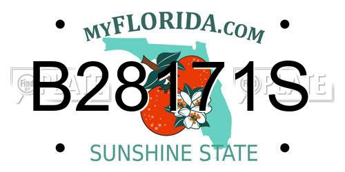 B28171S Florida License Plate