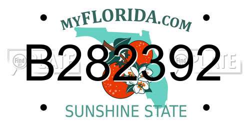 B282392 Florida License Plate