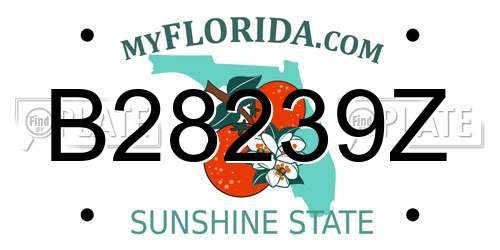 B28239Z Florida License Plate