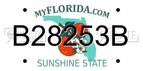 B28253B Florida License Plate