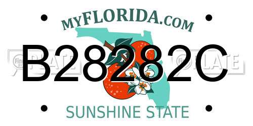B28282C Florida License Plate