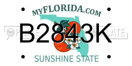 B2843K Florida License Plate