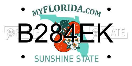 B284EK Florida License Plate