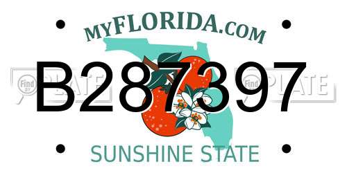 B287397 Florida License Plate