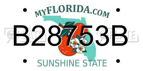 B28753B Florida License Plate