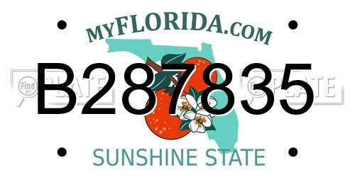 B287835 Florida License Plate