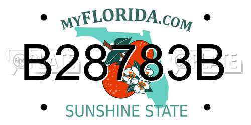 B28783B Florida License Plate