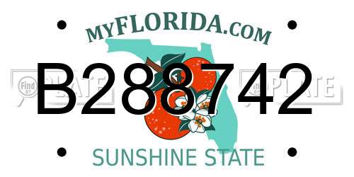 B288742 Florida License Plate
