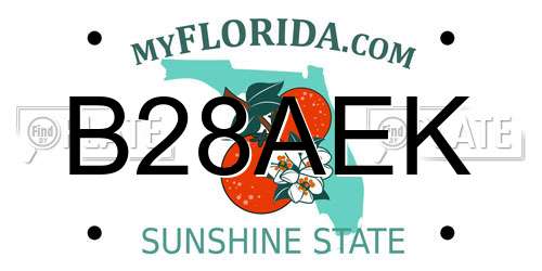 B28AEK Florida License Plate