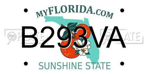 B293VA Florida License Plate