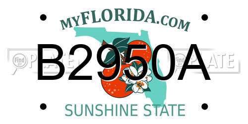 B2950A Florida License Plate
