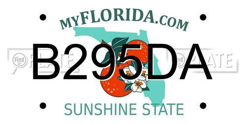 B295DA Florida License Plate