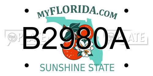 B2980A Florida License Plate