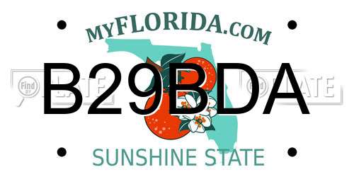 B29BDA Florida License Plate