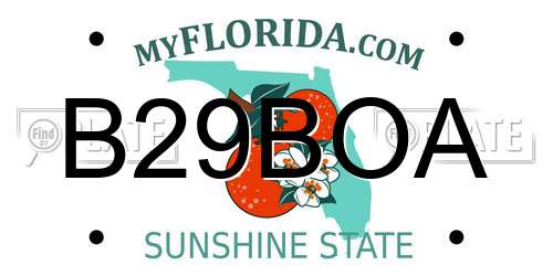 B29BOA Florida License Plate