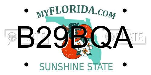 B29BQA Florida License Plate