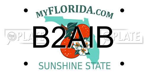B2AIB Florida License Plate