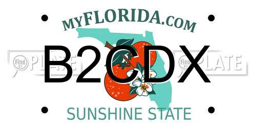 B2CDX Florida License Plate