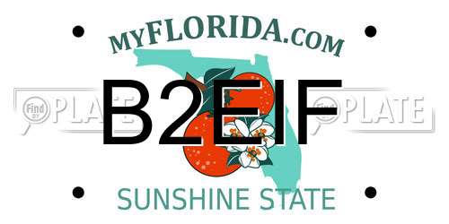 B2EIF Florida License Plate