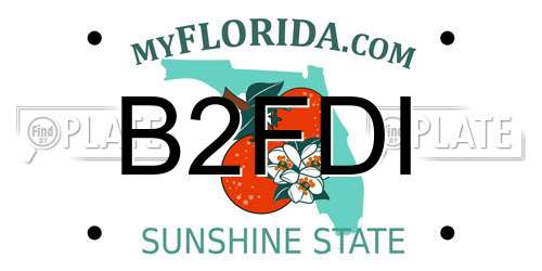 B2FDI Florida License Plate