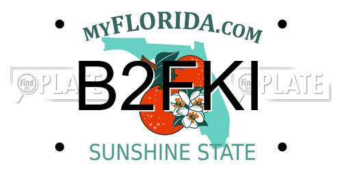 B2FKI Florida License Plate