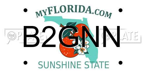 B2GNN Florida License Plate