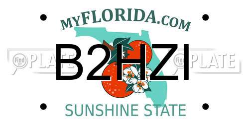 B2HZI Florida License Plate