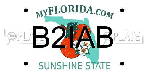 B2IAB Florida License Plate