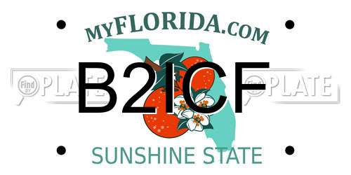 B2ICF Florida License Plate