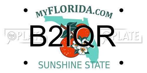 B2IQR Florida License Plate