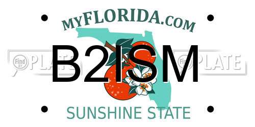 B2ISM Florida License Plate