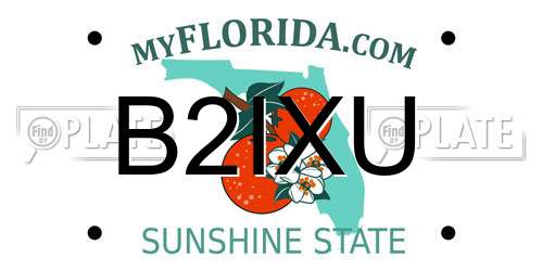 B2IXU Florida License Plate