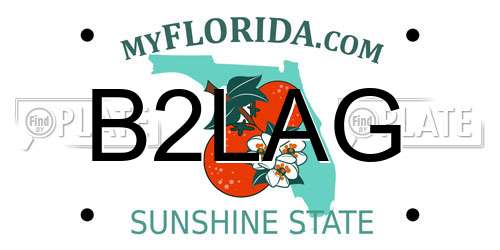 B2LAG Florida License Plate