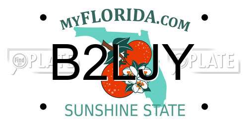 B2LJY Florida License Plate